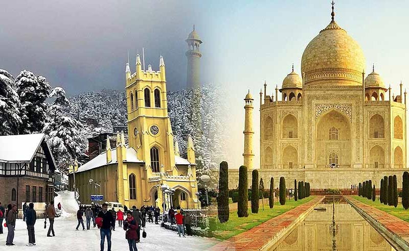 img/Golden-with-shimla.jpg